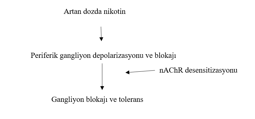 Bağımlılık